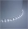 Светодиодная LED лента Feron LS604, 60SMD(2835)/m 4.8W/m 12V 1m 6500К 27752 - фото 194619
