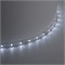 Лента светодиодная SST01 SAFFIT 60SMD(2835)/m 6Вт/м 12V 5000*8*1.22мм 6500K, IP20 55239 - фото 194875
