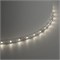 Лента светодиодная SST01 SAFFIT 60SMD(2835)/m 6Вт/м 12V 5000*8*1.22мм 4000K, IP20 55238 - фото 194883