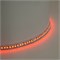 Светодиодная LED лента Feron LS502, 180SMD(5050)/м 16Вт/м 24V 5000*10*1.5мм RGB IP20 51824 - фото 195084