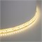 Светодиодная LED лента Feron LS512, 180SMD(2835)/м 16Вт/м 24V 5000*10*2.3мм 3000К IP65 51825 - фото 195117