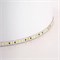 Лента светодиодная 192SMD(2835)/м 16Вт/м 24V 5000*8*1.44мм 3000К+6500K, IP20, LS504 51835 - фото 195125