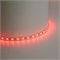 Лента светодиодная 60SMD(5050)/м 14,4Вт/м 24V 5000*12*1.22мм RGB+3000К, IP20, LS507 FERON 53332 - фото 195255