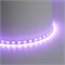 Лента светодиодная 60SMD(5050)/м 14,4Вт/м 24V 5000*12*1.22мм RGB+3000К, IP20, LS507 FERON 53331 - фото 195266