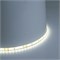 Светодиодная LED лента Feron LS511, 120SMD(2835)/м 11Вт/м 24V 5000*8*1.22мм 6000К IP65 51636 - фото 195874