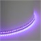 Светодиодная LED лента Feron LS502, 180SMD(5050)/м 16Вт/м 24V 5000*10*1.5мм RGB IP20 51824 - фото 195904