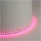 Светодиодная LED лента Feron LS501, 120SMD(3535)/м 11Вт/м 24V 5000*10*1.5мм RGB IP20 51823 - фото 195916