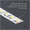 Светодиодная LED лента Feron LS501, 120SMD(2835)/м 11Вт/м 24V 30000*8*1.22мм 3000К 30м IP20 53086 - фото 196028